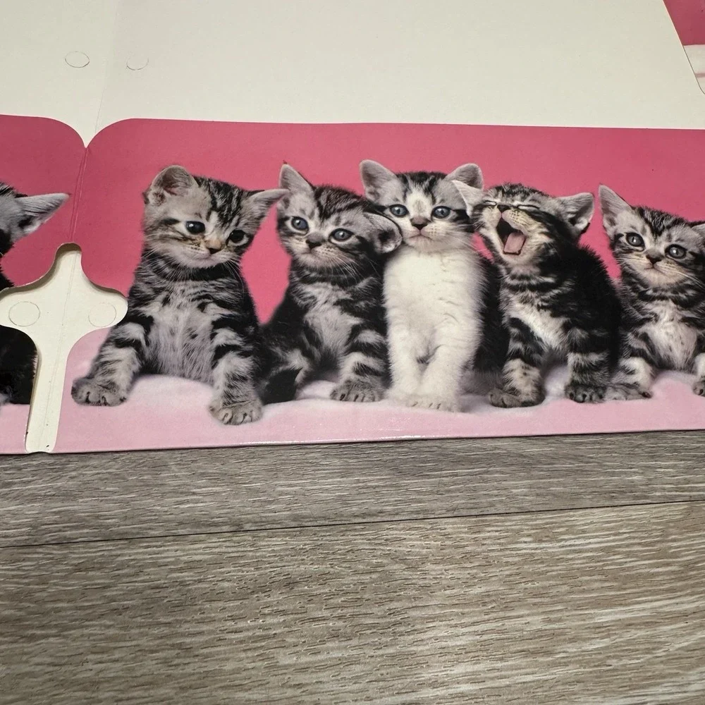 Keith Kimberlin Signature Folders Kitten Cat Lot Of 2 Class‎ Act 3 Hole 2008